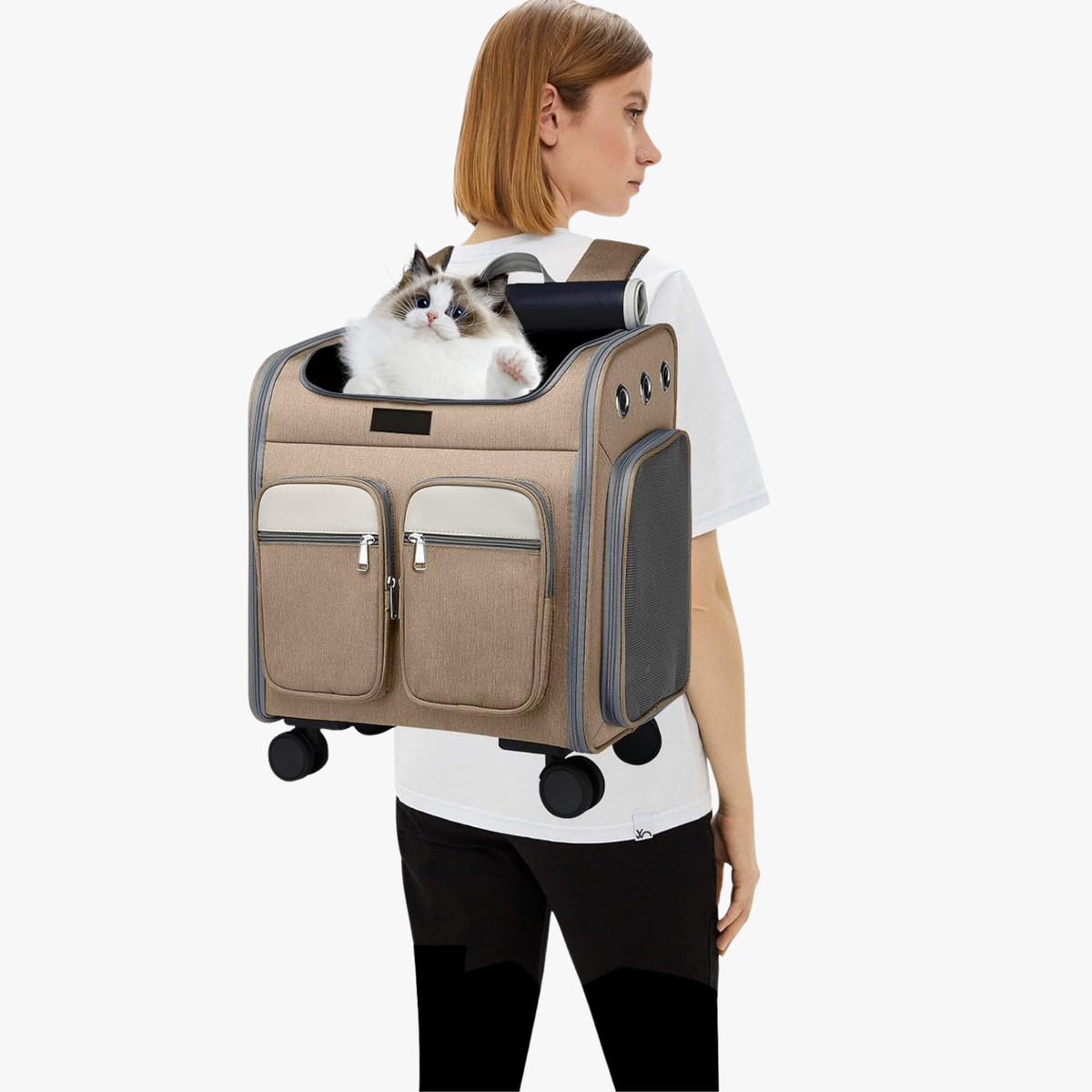 Sac à dos de transport à roulettes pour chiens et chats kaki