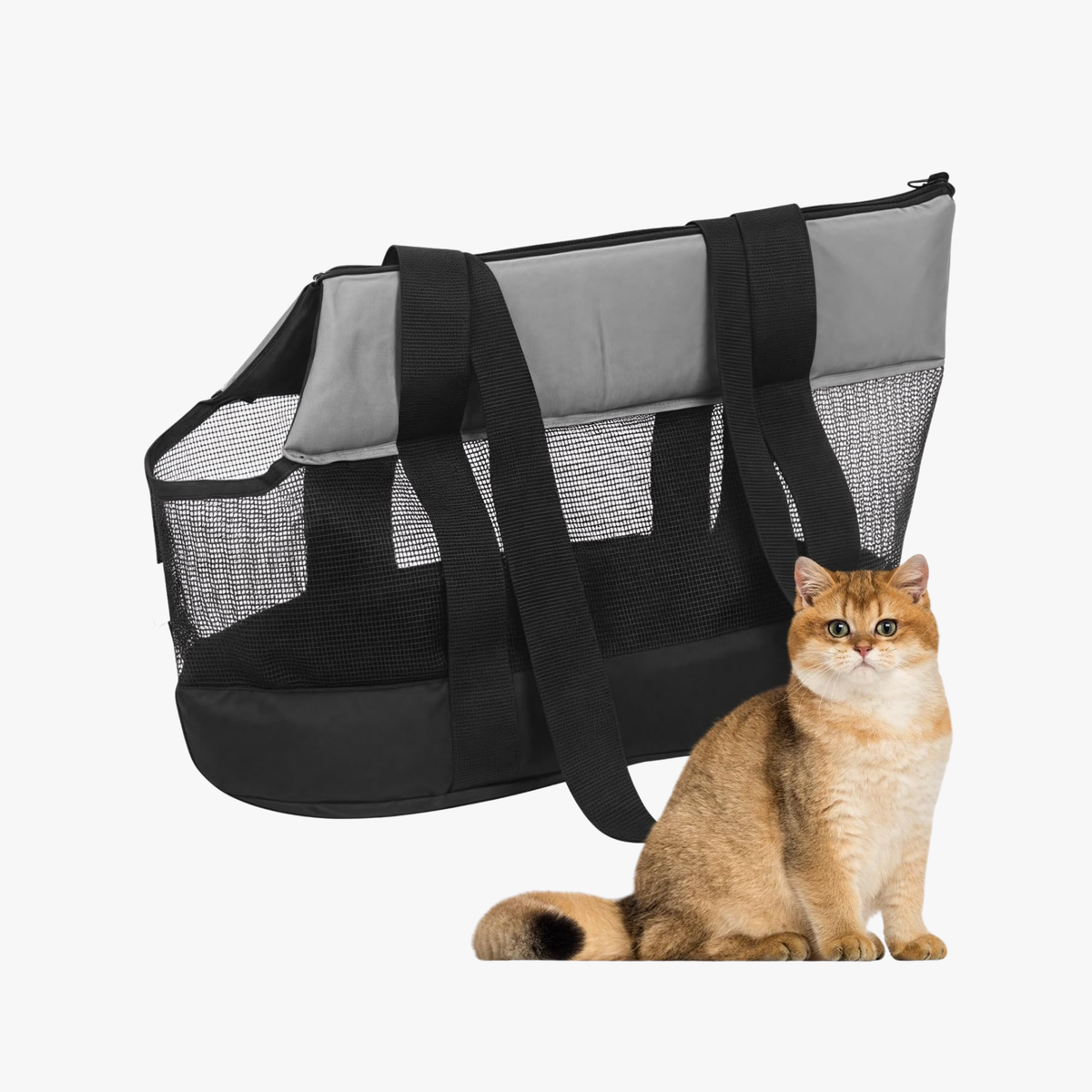 Sac de transport respirant pour chiens petits et moyens noir
