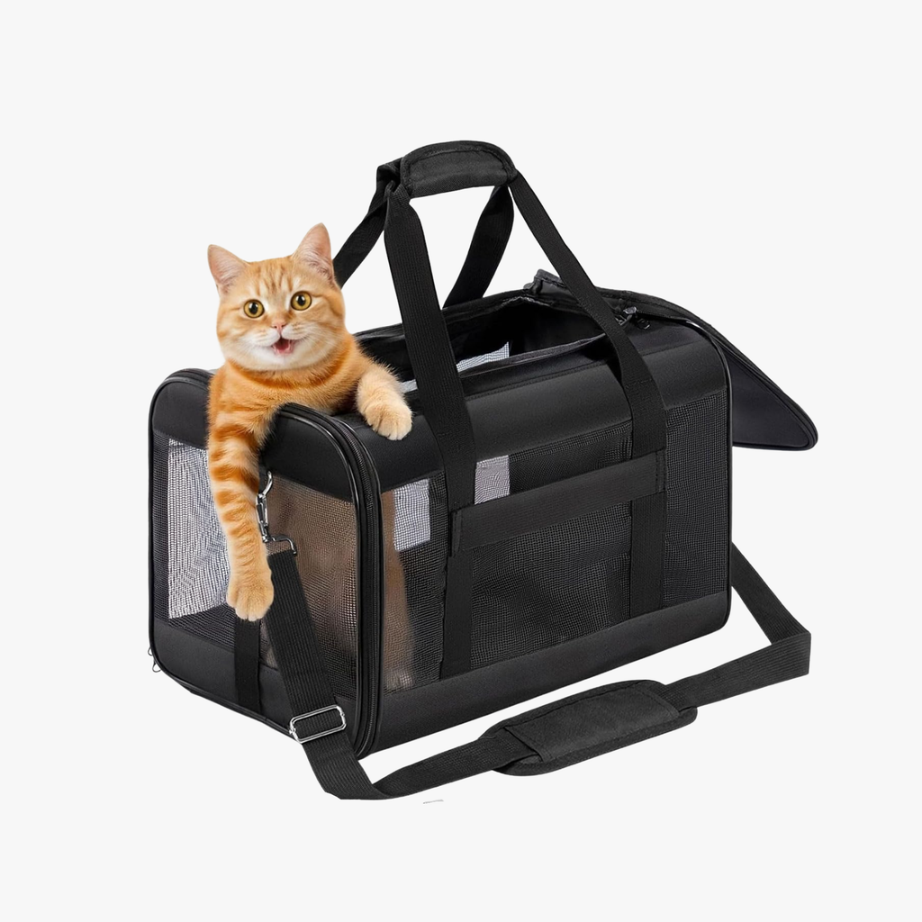 Sac de transport pliable approuvé en cabine pour chats et chiots noir