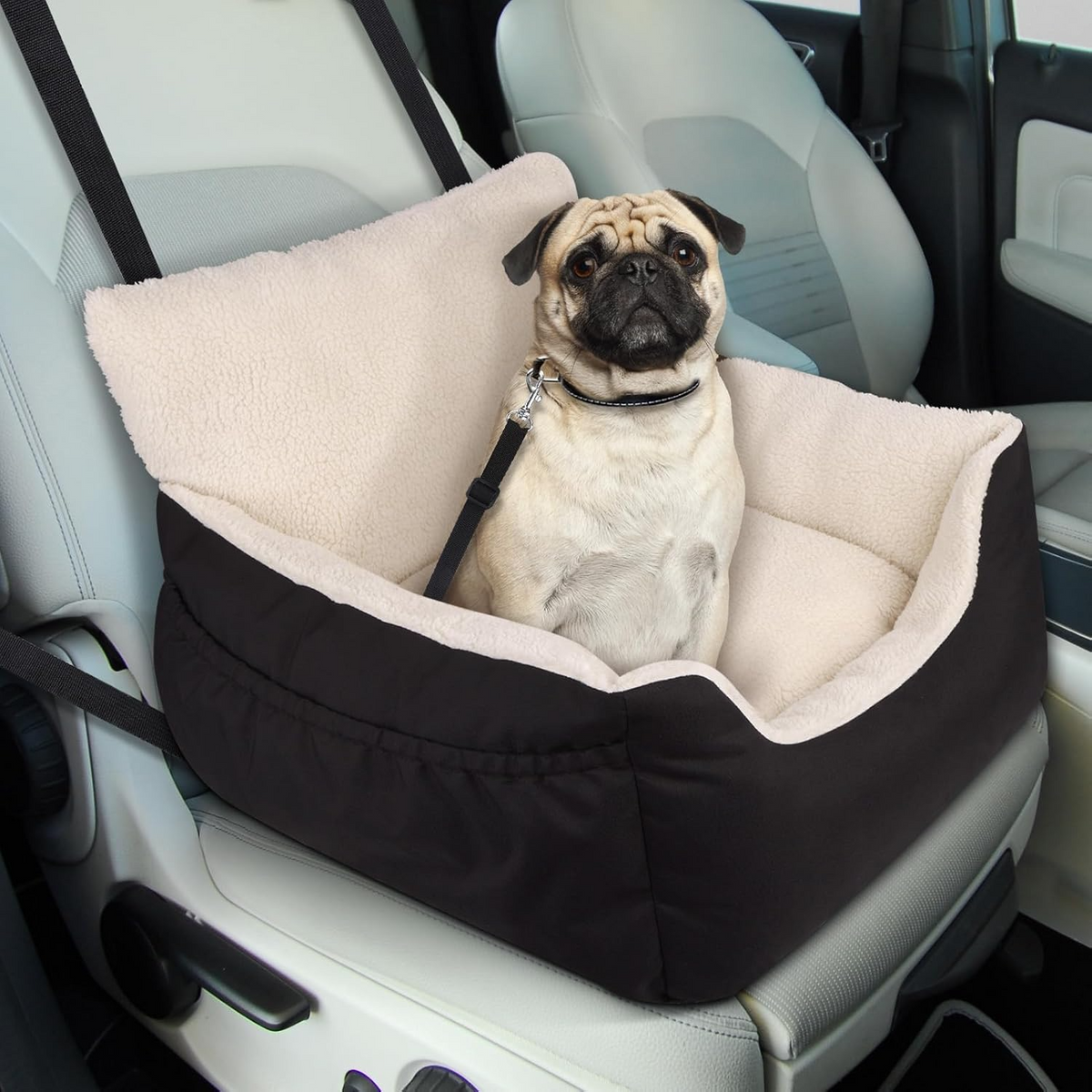 Siège auto confortable pour petits chiens et chats coussin réversible noir