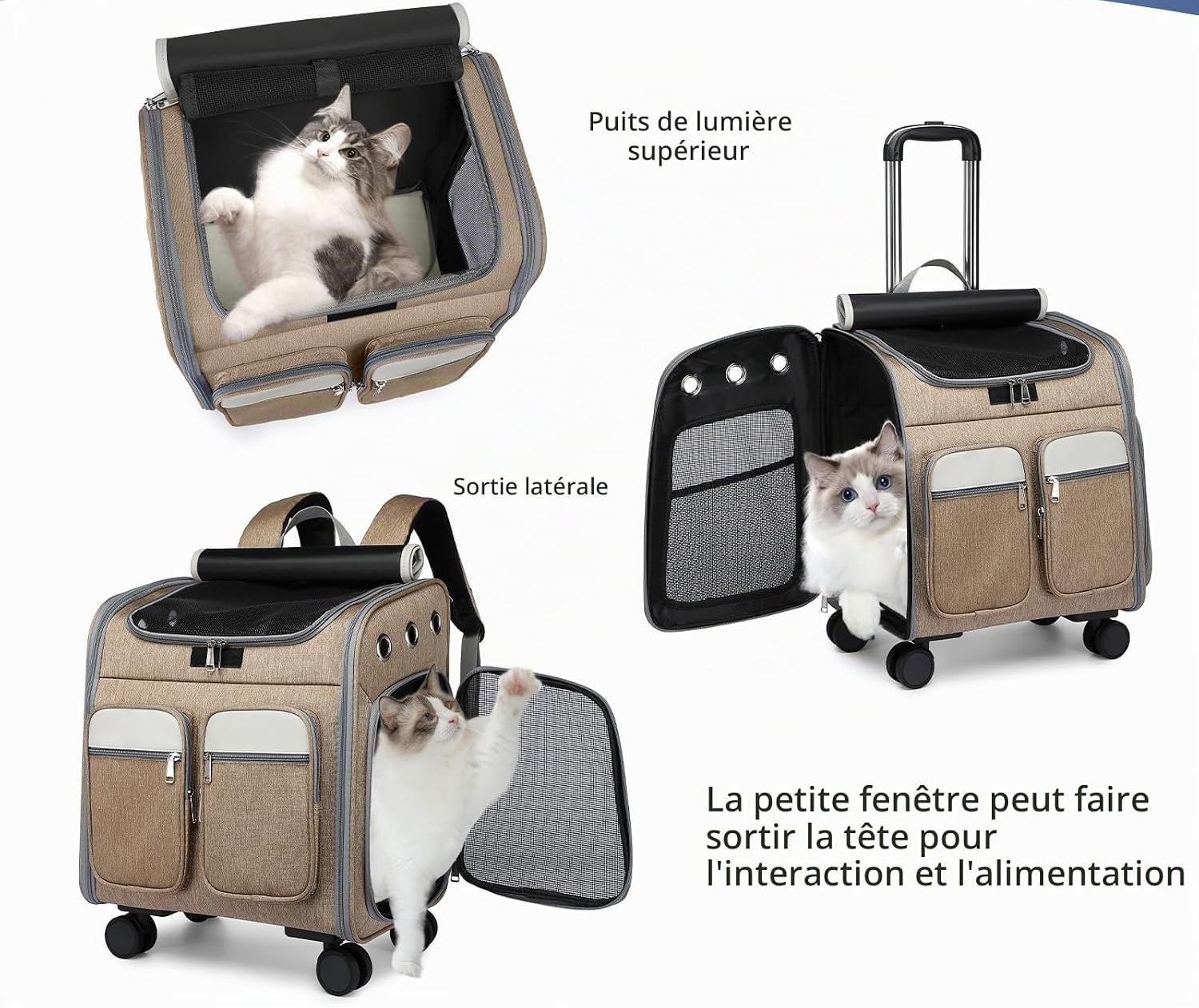 Sac à dos de transport à roulettes pour chiens et chats kaki