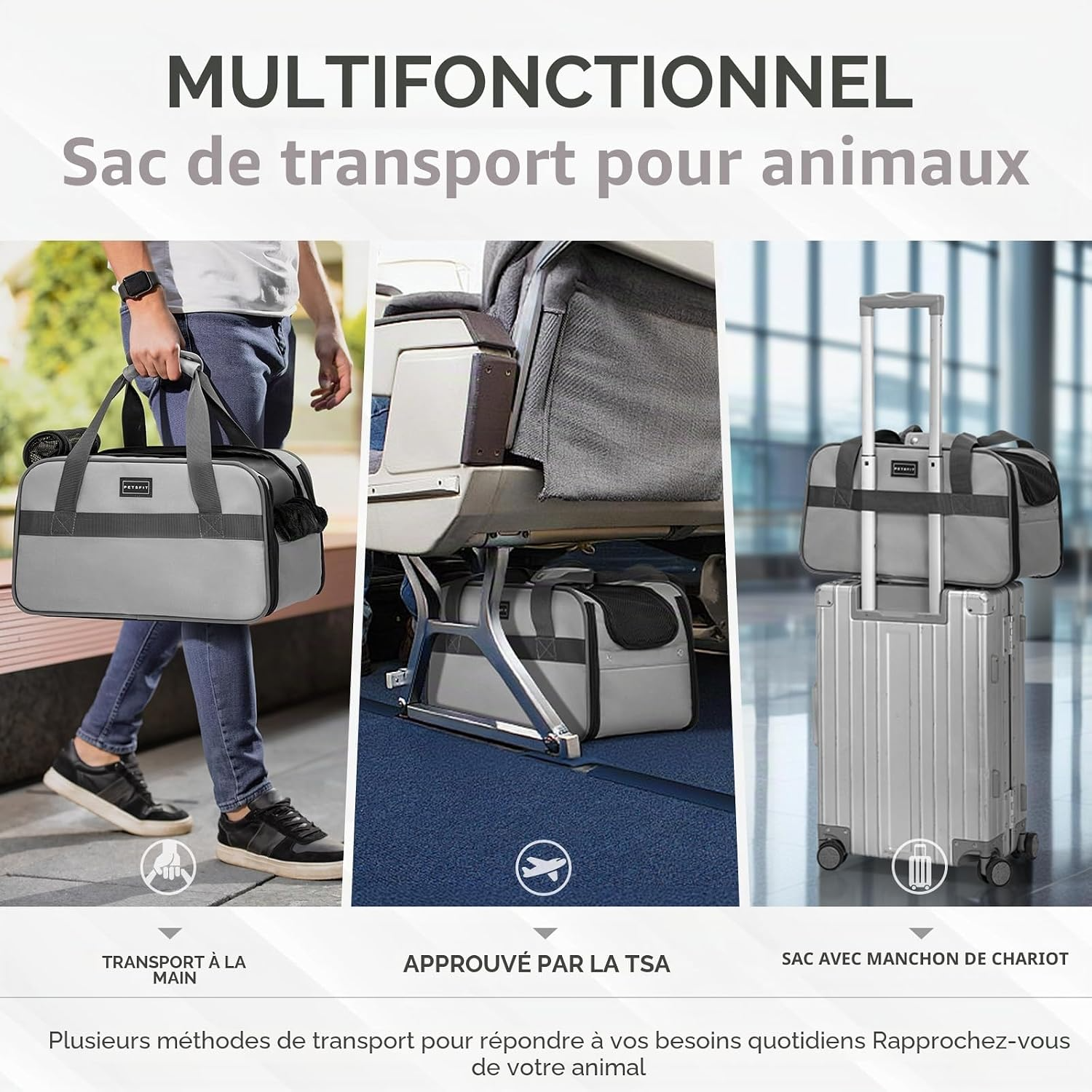 Siège auto multifonction pour chiens et chats certifié cabine gris clair