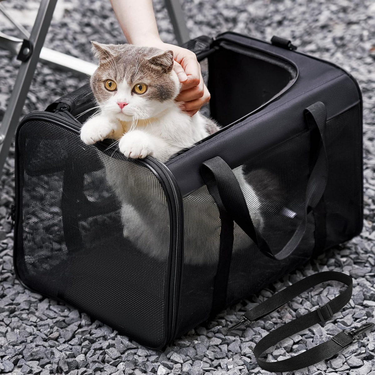 Sac de transport pliable approuvé en cabine pour chats et chiens noir