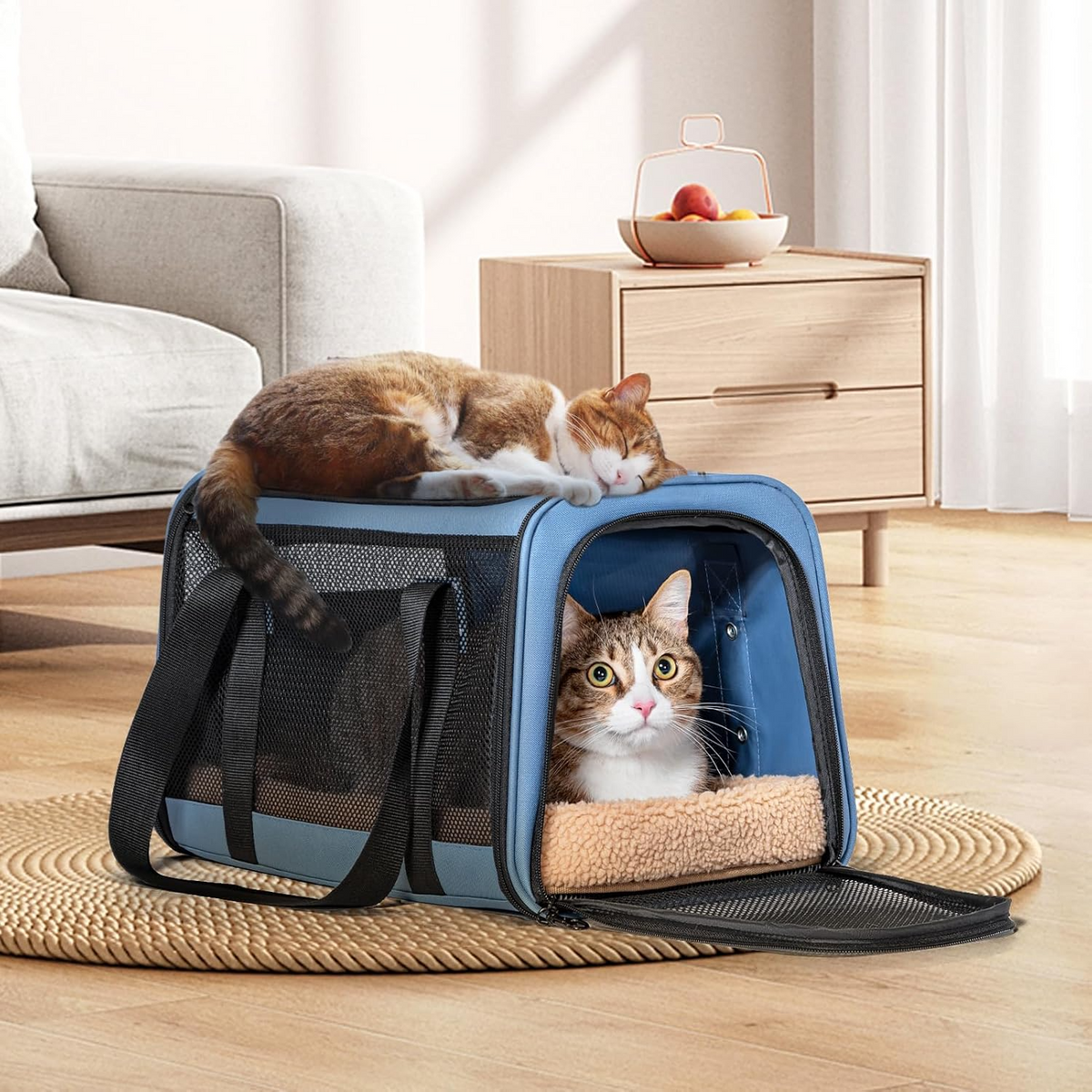 Sac de transport pliable respirant pour chiens et chats avec harnais bleu