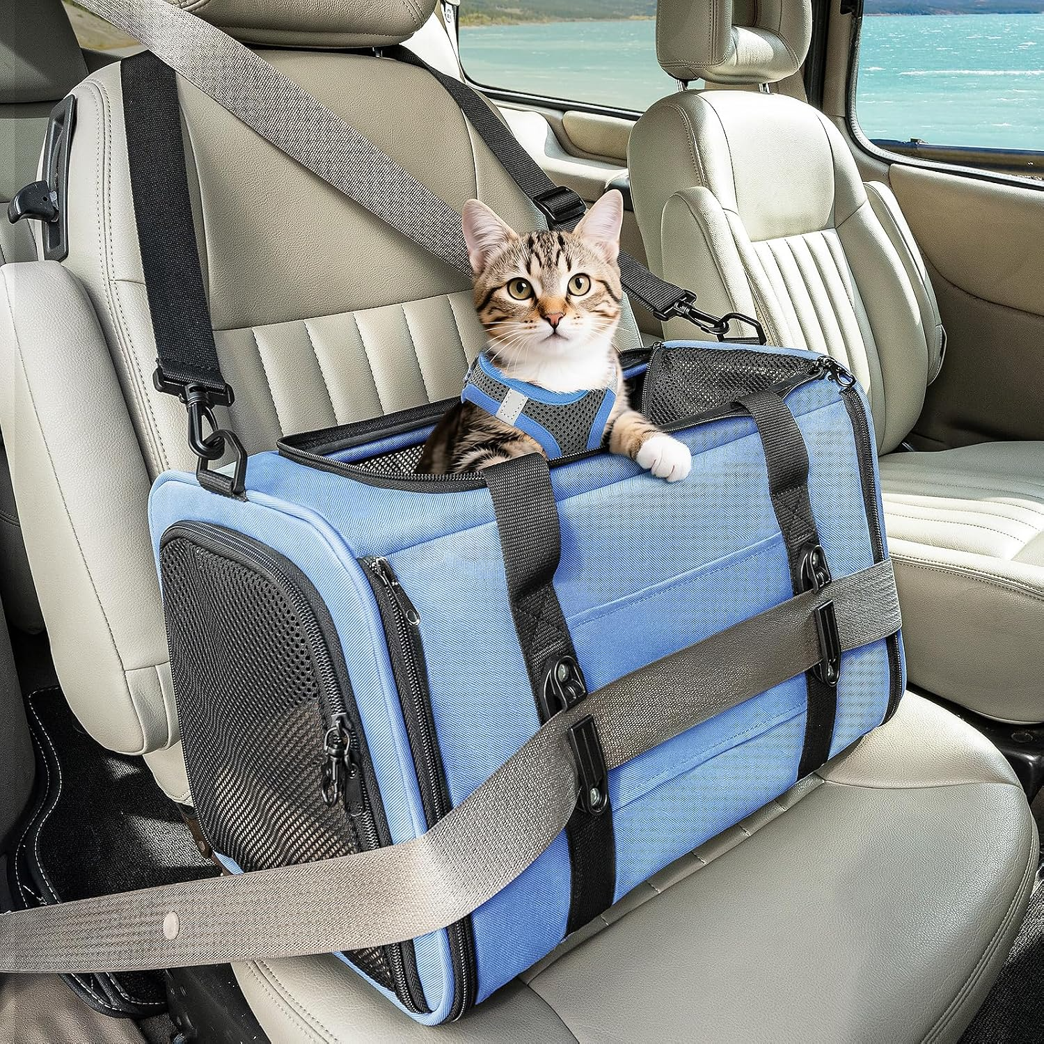 Sac de transport pliable respirant pour chiens et chats avec harnais bleu